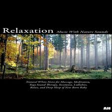 Piano Song With Birds Singing By Relaxation Music With Nature Sounds On Amazon Music Amazon Com
