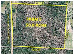 The cheapest offer starts at ksh 20,000. 50 Acre Wooded Hunting Property Land For Sale By Owner In Butler Taylor County Georgia 101013 Landflip