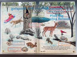 If You Look Closely It S A See Through Paper Where Kids Can Actually See The Animals Habitat For Example Is Sleeping In Den Skunk
