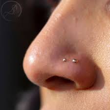 Nose piercings are a trendy way that a person can express their creative style by wearing different pieces of jewelry. Facial Piercings Piercing Experience