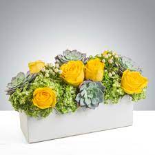 Our community offers a number of apartment plans and layouts to accommodate many lifestyles. Mellow Yellow By Bloomnation In Newton Ma Busy Bee Flowers