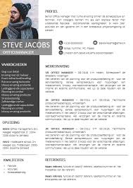 Cv Voorbeeld 20