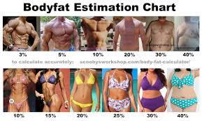 Body Fat Estimation Chart Men Women Scoobys Home Workouts