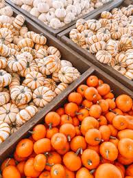 Image result for tbn:0PJB32OL7JwfOM::farm4.static.flickr.com/3324/3329876139_f2d551139f.jpg