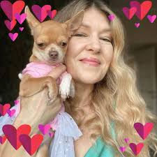 How do chihuahuas sleep?