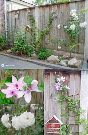 Diy Kletterhilfe Fur Pflanzen Im Garten Bauen Diy Gartenbau Pflanzen Pflanzideen