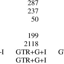 Image result for Psychotria diversinodula
