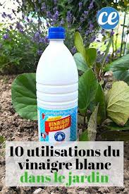 10 Utilisations Etonnantes Du Vinaigre Blanc Dans Le Jardin En 2020 Vinaigre Blanc Jardins Entretien Jardin