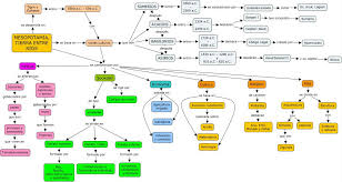 1 08 Mesopotamia Tierra Entre Rios Mapa Conceptual Mapas Mapa Conseptual