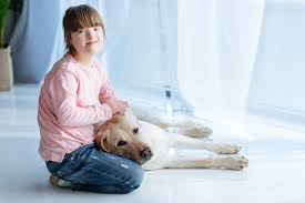 Klicke jetzt und geniesse die neuesten lustigen sachen im internet! Kind Mit Down Syndrom Streichelt Labrador Retriever Hund Und Schaut In Kamera Lizenzfreies Foto Und Stockbild