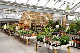 These deal offers are from many sources, selected by our smart and comprehensive system on coupon code, discounts, and deals. Visit Wisley Garden Centre Rhs Gardening