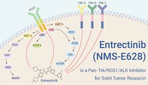 Image result for ROS1 Inhibitor