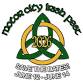 Motor City Irish Fest