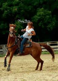 Pin By Kait On Horse Abuse Barrel Racing Horses Horse Riding