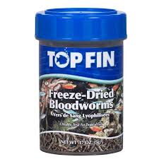 If not for brine shrimp, the tropical fish industry might not be what it is today. Betta Care 101 Food
