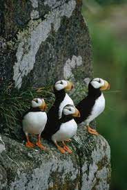 一对母子的重生 周末读书天my weekend with books books sentences blog posts