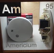 The alpha particles are absorbed within the detector, while most of the gamma rays if it enters the body in a chemically available form, it would concentrate in the skeleton. Americium