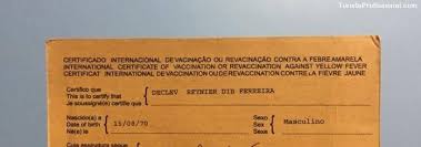 Se você vai viajar para o exterior, consulte a lista rápida de países que exigem o certificado. Vacina Da Febre Amarela O Que E Preciso Para Viajar Turista Profissional