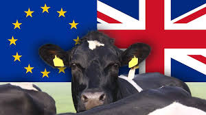 Het wordt begrensd door schotland en wales, en de hoofdstad is londen. Agrarische Revolutie In Engeland Na Brexit Melkvee Nl Nieuws En Kennis Voor De Melkveehouder