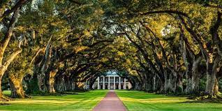 From french louisiane, named for king louis xiv of france. Why A Louisiana Trip Is Different In All The Right Ways Travelzoo