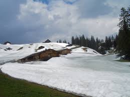 If you are driving to haus gertraud, free parking is available. Rechts Geht Es Gleich Weg Zum Haus Gertraud In Der Sonne Oben Das Haus Schonblick Bild Loferer Alm 1425 M
