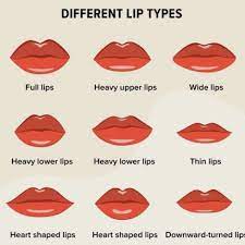 Check spelling or type a new query. Derv Filla Did You Know There Were So Many Different Lip Facebook