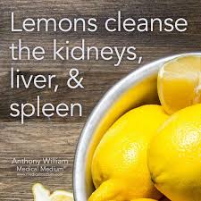 Pin By Valerie Kelly On Health Wellness Fitness Medical Medium Lemon Cleanse Hypothyroidism Diet