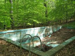 Abandoned Pool Alone In The Woods Abandoned Abandoned Places Empty Pool