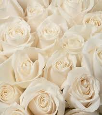 Check spelling or type a new query. Russ Wholesale Bulk Flowers Fresh Wedding Silk Flowers Gluckliche Spruche