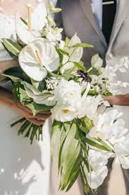 These gorgeous flowers can reach 8 inches in diameter and come in a variety of colors, such as white, yellow, purple, orange, pink, red, and multicolor. Tropical Bridal Bouquet Tropical Bridal Bouquet Tropical Flowers Bouquet Bridal Bouquet