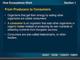 In the future, the sensors along the lines of distribution on the smart grid will enable us to locate and determine the cause of the outage, often even before you report the outage. Objectives Describe How Energy Is Transferred From The Sun To Producers And Then To Consumers Describe One Way In Which Consumers Depend On Producers Ppt Download
