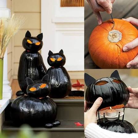  Cat Pumpkins 