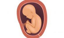 Penyebab hamil 4 bulan perut masih lembek yang perlu diperhatikan hamil co id. Penyebab Hamil 4 Bulan Perut Masih Lembek Yang Perlu Diperhatikan Hamil Co Id