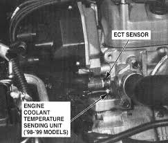 Last week a huge fricken tree fell on it. 99 Honda Accord Temperature Gauge Wiring Diagram F350 Trailer Wiring Schematic 7ways Tukune Jeanjaures37 Fr