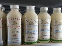 To prevent this, you should avoid drinking raw milk. Camel Milk Everything You Need To Know With Photos Videos