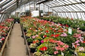 Small Business Ideas How To Start A Plant Nursery Business Plant Nursery Plants Greenhouse
