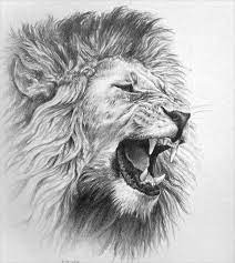 24 Animal Drawings Free Psd Ai Vector Eps Format Download Lion Head Drawing Lion Head Tattoos Mens Lion Tattoo