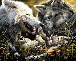 Wolf live wallpaper android apps on google play 1920×1080. Wolves 1080p 2k 4k 5k Hd Wallpapers Free Download Wallpaper Flare