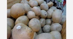 Contents turnips and parsnips and beets, oh my! 14 Strange Fruits And Vegetables You Ve Probably Never Heard Of First We Feast