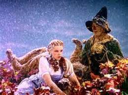 Wizardofoz Fantasy Wizard Oz Wizard Of Oz Movie The Wonderful Wizard Of Oz Wizard Of Oz