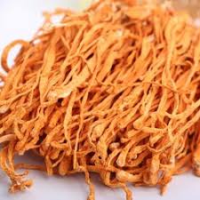 The current coinmarketcap ranking is #2925, with a live market cap of not available. Cordyceps Sinensis In Delhi à¤ à¤° à¤¡ à¤¸ à¤ª à¤¸ à¤¸ à¤à¤¨ à¤¸ à¤¸ à¤¦ à¤² à¤² Delhi Cordyceps Sinensis Keeda Jadi Price In Delhi