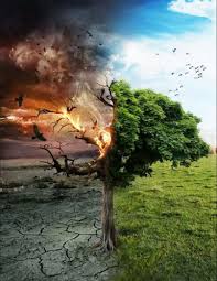 The believer need not fear the axe at the root because jesus is our root and the root sustains us (rev. Bookemon A Good Tree Cannot Bear Bad Fruit And A Book 764724