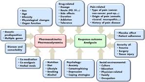 Pharmacogenetics Of Chronic Pain Management Sciencedirect