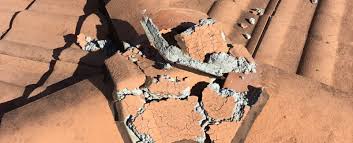 Bppi specialise in professional building inspections and pest inspections and reports servicing all areas in brisbane. Pre Purchase Building Pest Inspections Term Build Gladstone
