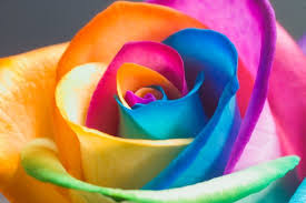No job too big or small quote. Rainbow Painting Decorating No Job Too Big Or Small Contact For Quote Offer Scotland Ky3 0eg