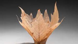 Antara makanan kering dan berkuah juga pasti berbeda model lipatannya. Bertema Alam Daun Daun Kering Ini Bisa Jadi Hiasan Rumah Fashion Fimela Com