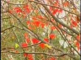 Georges Moustaki Il Y Avait Un Jardin L Imparfait Music Artists Georges Italy Spain