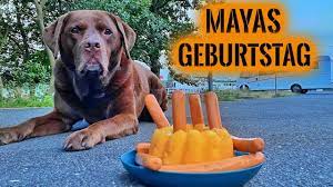 Bestechung ist strafbar, aber lecker‼#lecker wenn du auch mal einem polizisten was gutes gönnen möchtest einfach beim einkauf den 10. Mayas Geburtstag Mit Merkwurdiger Konfrontation Survival Mattin Stream Highlights Youtube