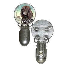 Image result for irský vodní španěl