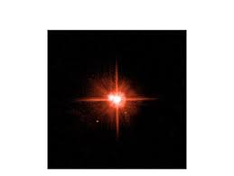 Ich entdeckte ihn zufällig unter den gästen. Clyde Tombaugh Entdeckt Pluto Der Spiegel